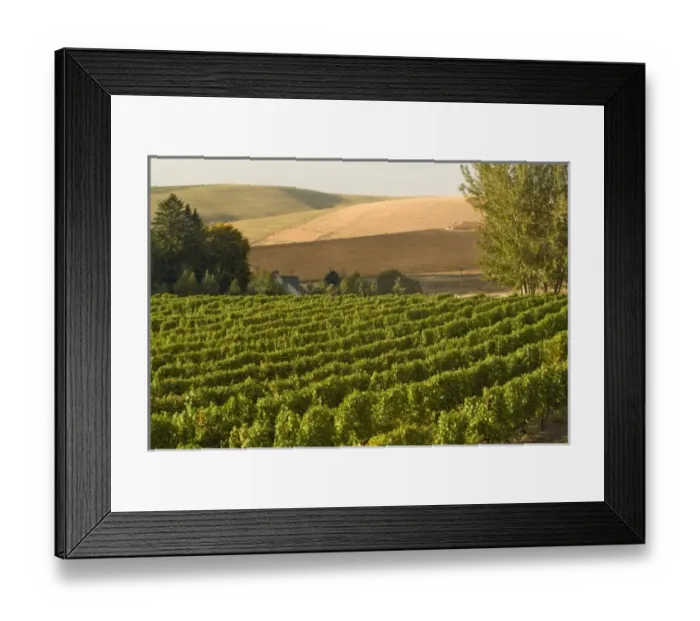 Framed Print : USA, North America, Washington Framed Print : USA, North America, Washington