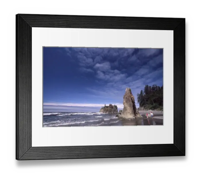Framed Print : Ruby Beach Sea Stacks, Olympic National Park; Washington; US
