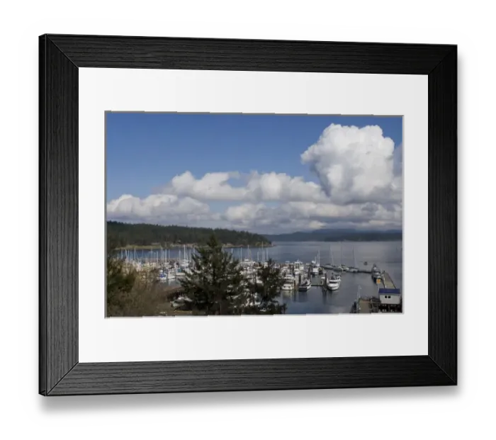 Framed Print : View from the Whale Museum, Friday Harbor, San Juan Island, Washington State
