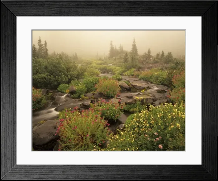 Framed Print : USA, North America, Washington Framed Print : USA, North America, Washington