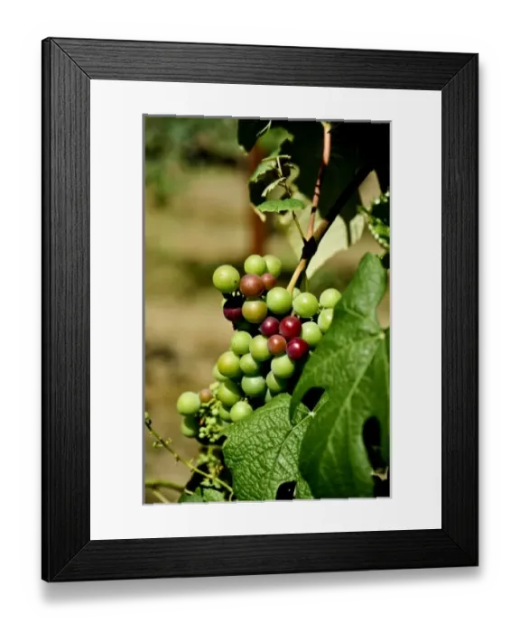 Framed Print : USA, North America, Washington Framed Print : USA, North America, Washington