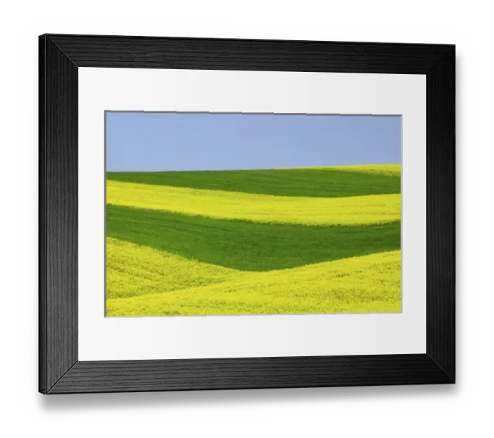 Framed Print : USA, North America, Washington