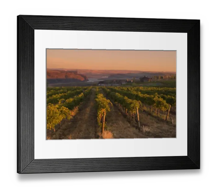 Framed Print : USA, North America, Washington