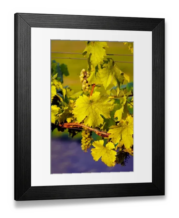 Framed Print : USA, North America, Washington Framed Print : USA, North America, Washington