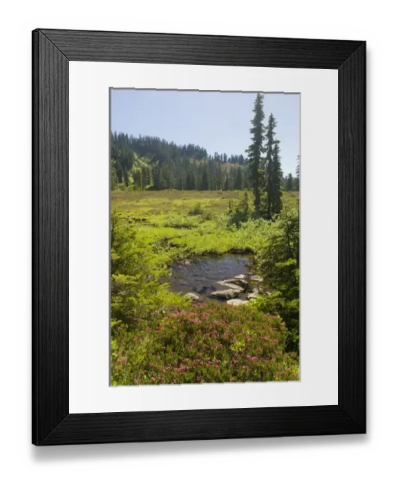 Framed Print : USA, North America, Washington