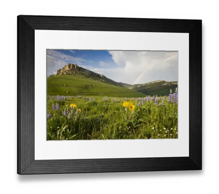 Framed Print : USA, North America, Wyoming