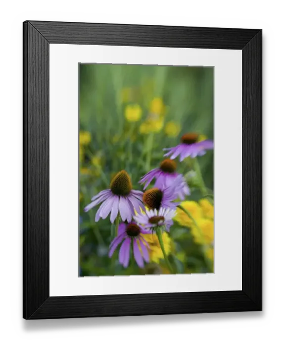 Framed Print : USA, North America, Washington