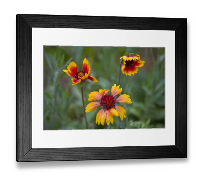 Framed Print : USA, North America, Washington