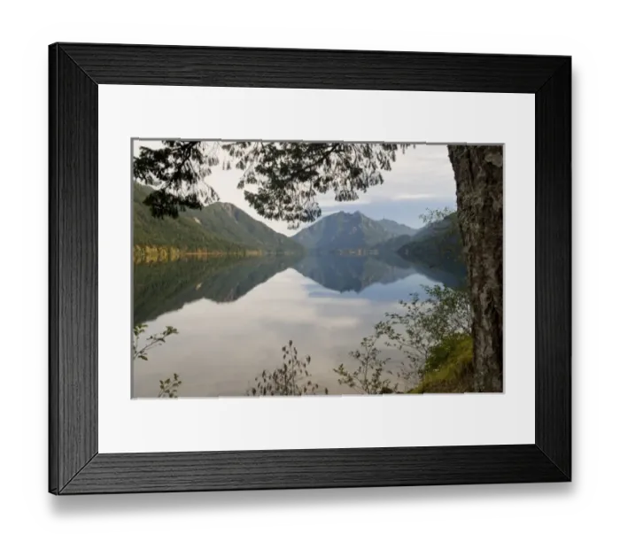 Framed Print : USA, WA, Olympic Peninsula. Lake Crescent is deep lake carved by glaciers. Located Framed Print : USA, WA, Olympic Peninsula. Lake Crescent is deep lake carved by glaciers. Located