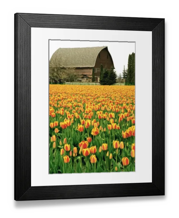 Framed Print : USA, North America, Washington