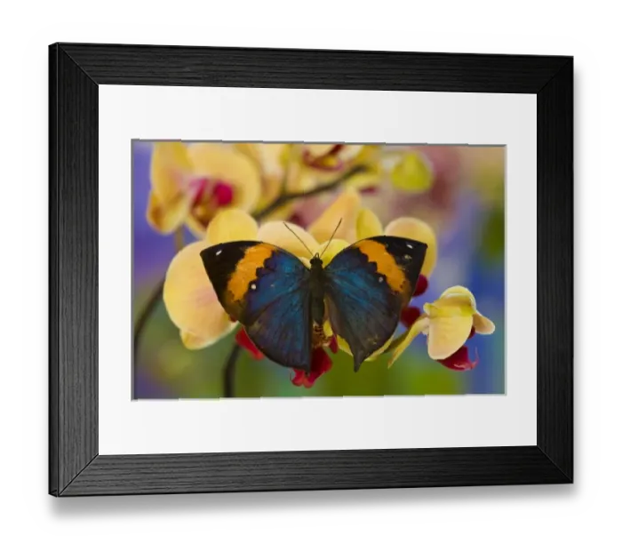 Framed Print : USA, North America, Washington Framed Print : USA, North America, Washington