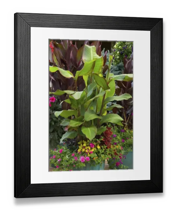 Framed Print : USA, North America, Washington Framed Print : USA, North America, Washington