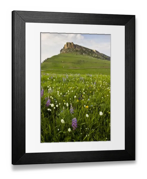 Framed Print : USA, North America, Wyoming Framed Print : USA, North America, Wyoming