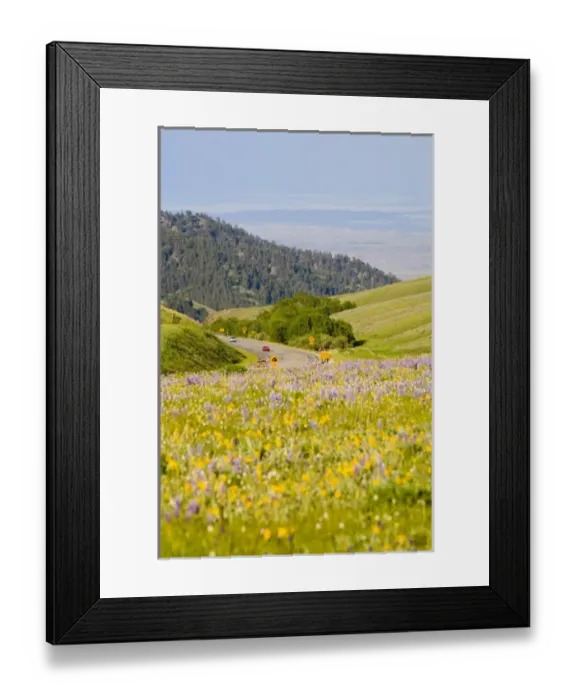Framed Print : USA, North America, Wyoming Framed Print : USA, North America, Wyoming