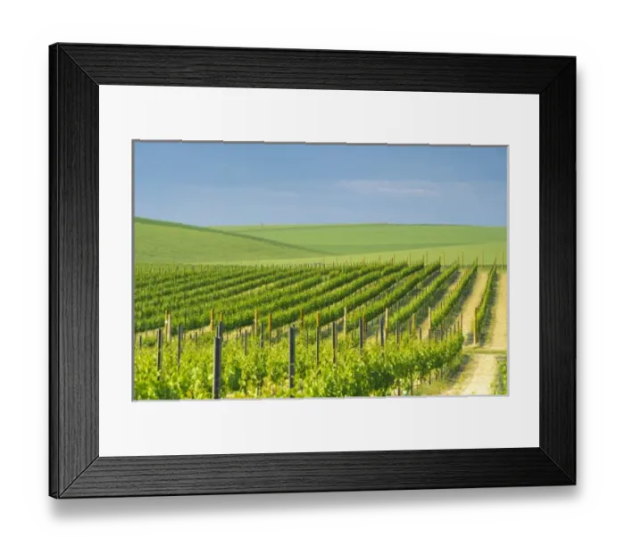 Framed Print : USA, North America, Washington Framed Print : USA, North America, Washington