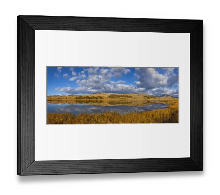 Framed Print : Swan Lake reflects clouds and Gallatin Mountain Range in Yellowstone National Park Framed Print : Swan Lake reflects clouds and Gallatin Mountain Range in Yellowstone National Park