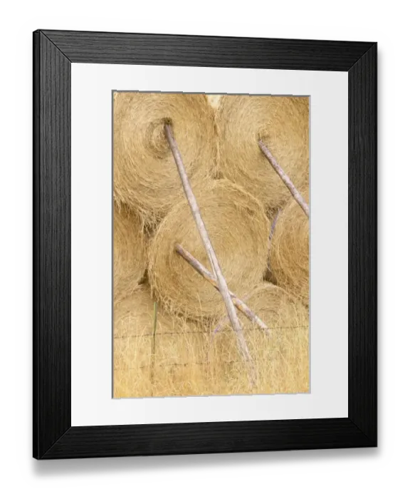 Framed Print : USA, North America, Washington Framed Print : USA, North America, Washington