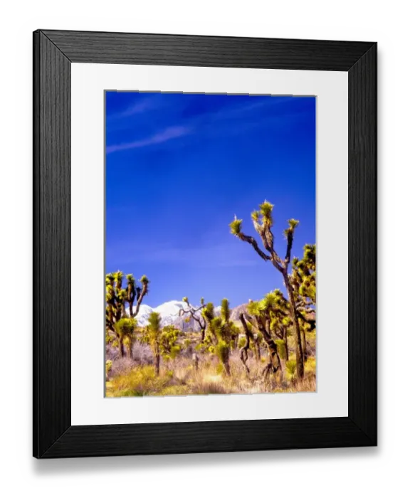 Framed Print : USA, California, Joshua Tree National Park Framed Print : USA, California, Joshua Tree National Park