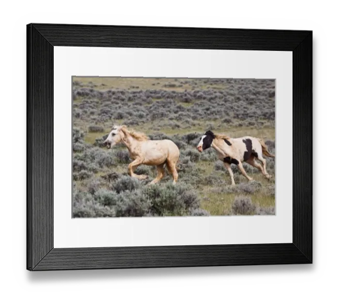 Framed Print : USA, North America, Wyoming