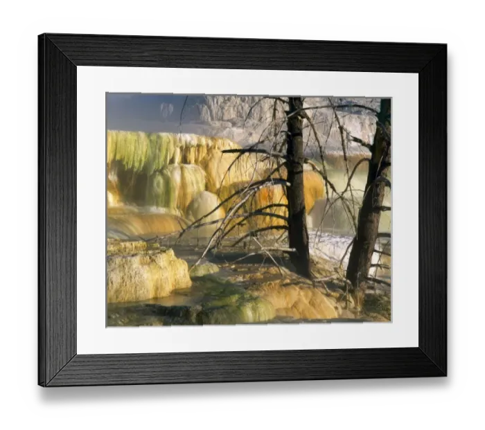 Framed Print : USA, North America, Wyoming Framed Print : USA, North America, Wyoming