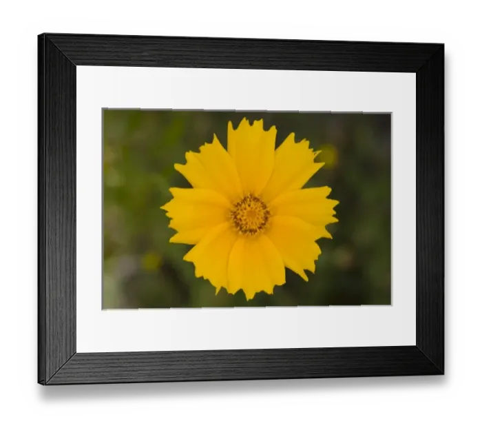 Framed Print : USA, North America, Washington