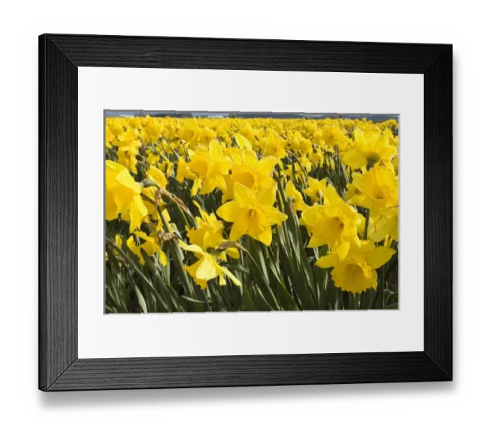 Framed Print : USA, North America, Washington Framed Print : USA, North America, Washington