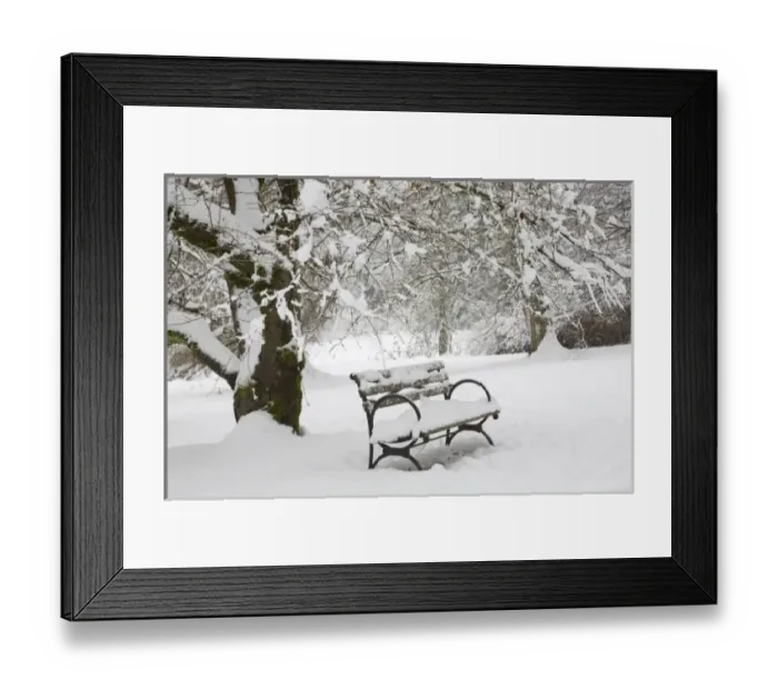 Framed Print : WA, Seattle, Washington Park Arboretum, covered in fresh snow, snow covered bench Framed Print : WA, Seattle, Washington Park Arboretum, covered in fresh snow, snow covered bench