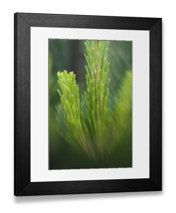 Framed Print : USA, North America, Washington Framed Print : USA, North America, Washington