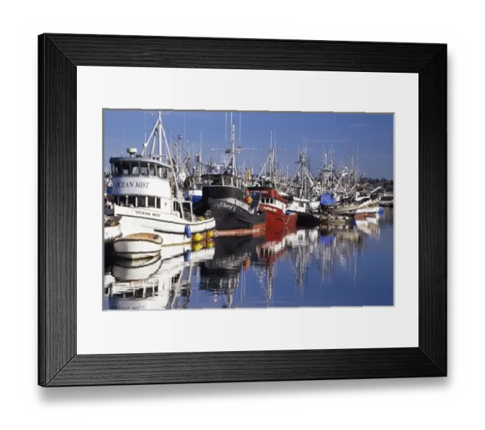 Framed Print : WA, Seattle, Fishing boats moored at Fishermens Terminal