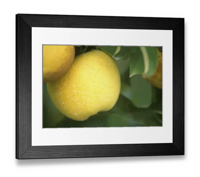 Framed Print : USA, North America, Washington Framed Print : USA, North America, Washington