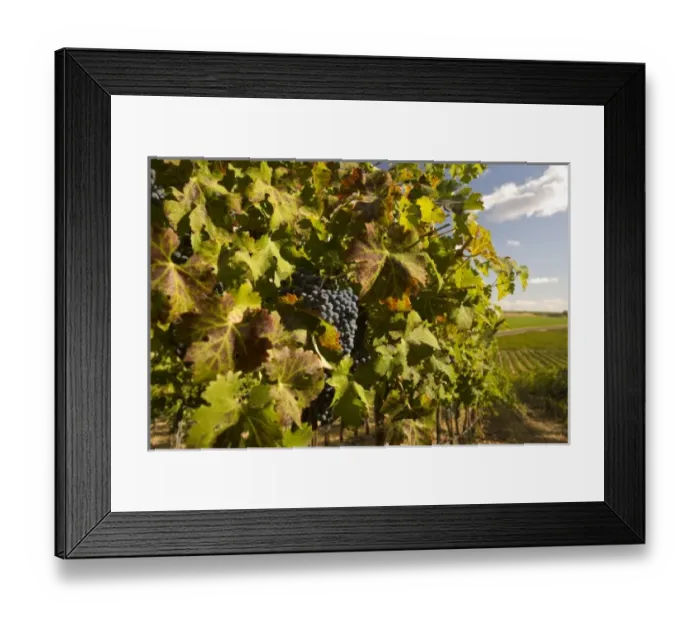 Framed Print : USA, North America, Washington Framed Print : USA, North America, Washington