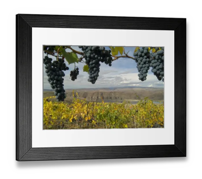 Framed Print : USA, North America, Washington Framed Print : USA, North America, Washington
