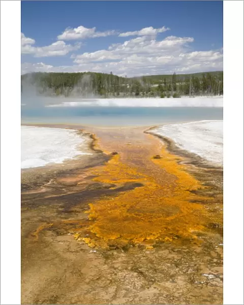 WY, Yellowstone National Park, Black Sand Basin, Rainbow Pool, and colorful bacterial mat