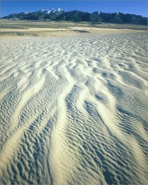 Wyoming. USA. Ripples in dunes below Ferris Mountains. Ferris Dunes, Great Divide Basin