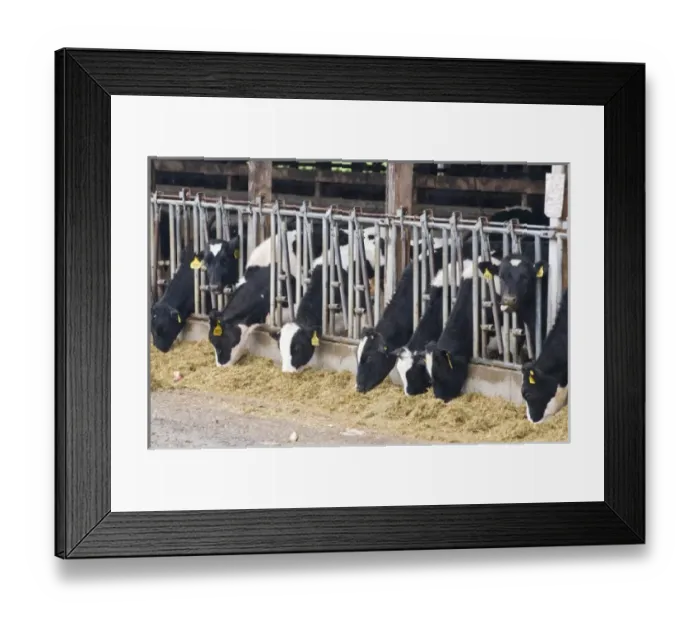 Framed Print : USA, North America, Washington