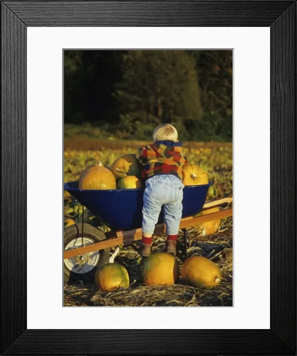 Framed Print : USA, North America, Washington Framed Print : USA, North America, Washington