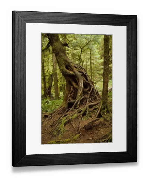 Framed Print : USA, North America, Washington Framed Print : USA, North America, Washington
