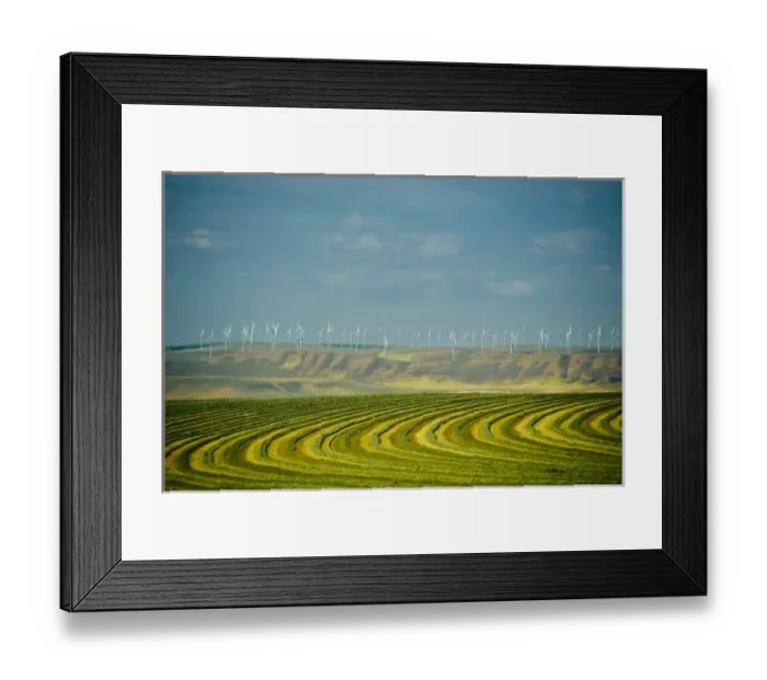 Framed Print : USA, Washington, Walla Walla Framed Print : USA, Washington, Walla Walla