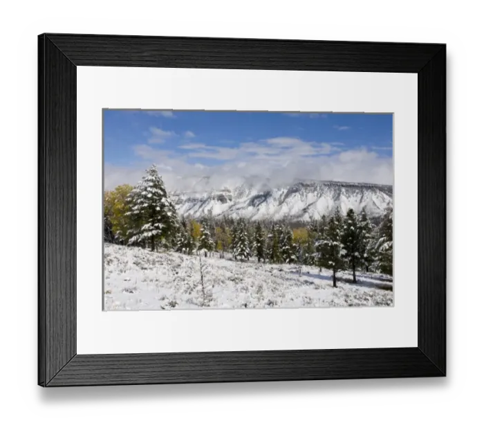 Framed Print : Yellowstone National Park, Wyoming, USA Framed Print : Yellowstone National Park, Wyoming, USA