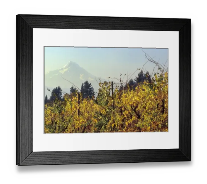 Framed Print : USA, North America, Washington Framed Print : USA, North America, Washington