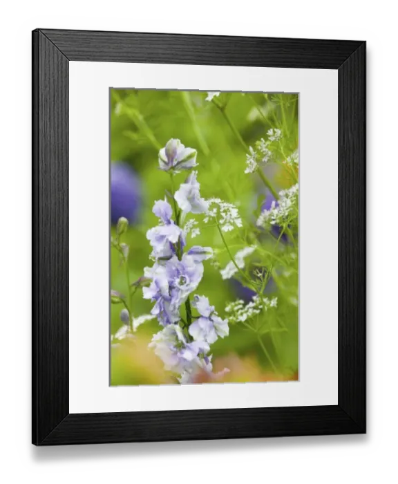 Framed Print : USA, North America, Washington Framed Print : USA, North America, Washington
