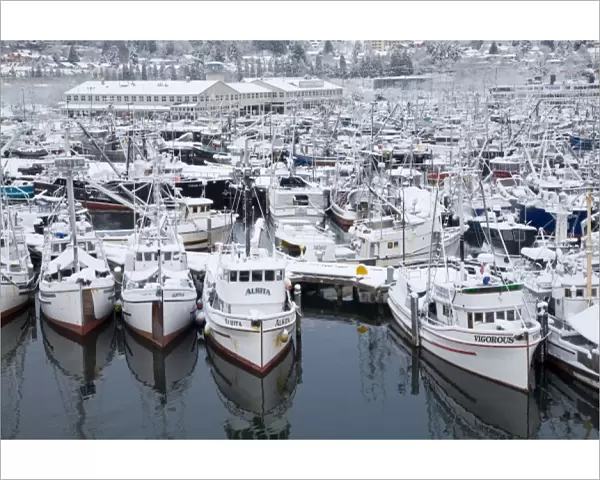WA, Seattle, Fishermens Terminal, Fishing boats with snow