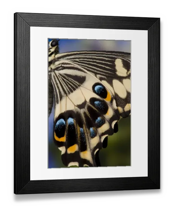 Framed Print : USA, North America, Washington Framed Print : USA, North America, Washington