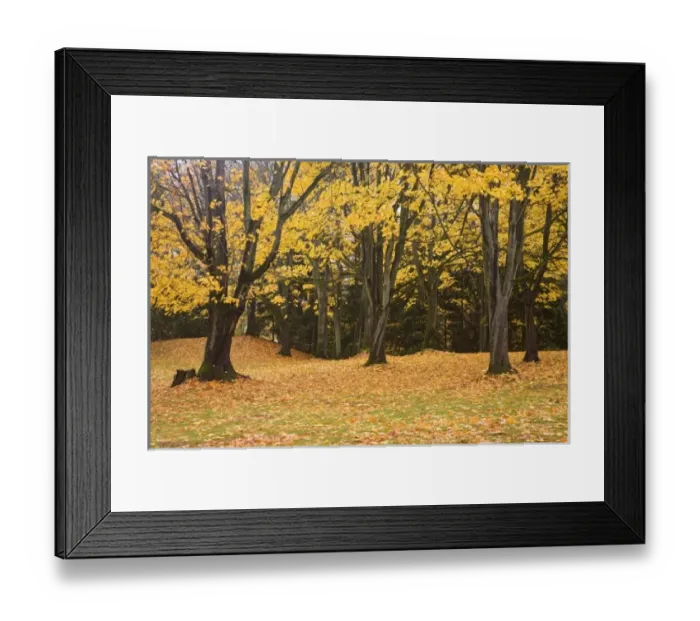 Framed Print : USA, North America, Washington Framed Print : USA, North America, Washington