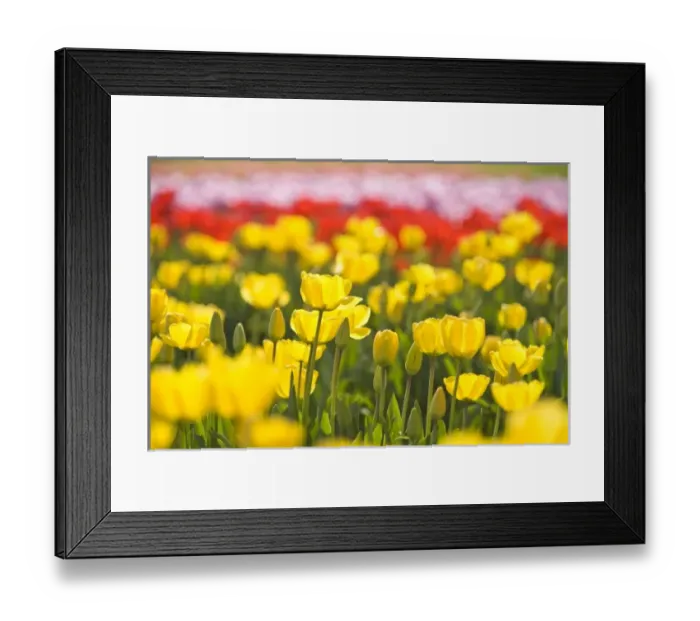 Framed Print : USA, North America, Washington Framed Print : USA, North America, Washington