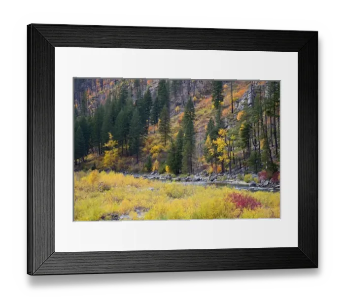 Framed Print : USA, North America, Washington
