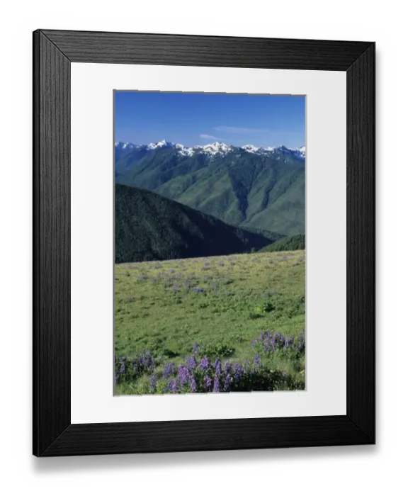 Framed Print : USA, North America, Washington Framed Print : USA, North America, Washington