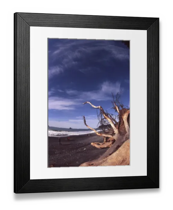 Framed Print : Rialto Beach, Olympic National Park, Washington, US Framed Print : Rialto Beach, Olympic National Park, Washington, US