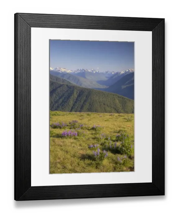 Framed Print : USA, North America, Washington Framed Print : USA, North America, Washington