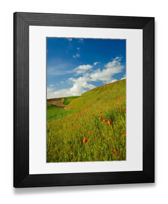 Framed Print : USA, Washington, Palouse. Wheat field in Washingtons rich Palouse farmland Framed Print : USA, Washington, Palouse. Wheat field in Washingtons rich Palouse farmland